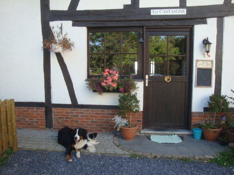 B&B Ter Castaigne Koekelare Luaran gambar